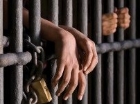 불법총기 압수.jpg