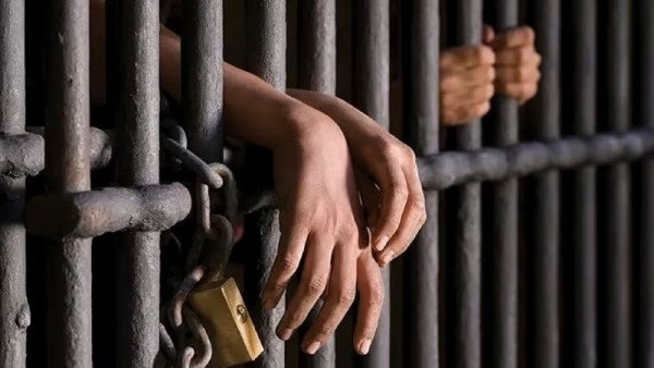 불법총기 압수.jpg