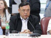 harry-roque.jpg